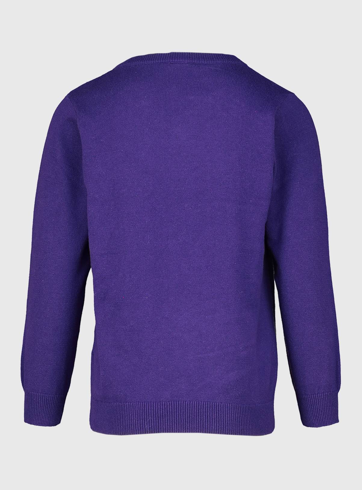 Purple V-Neck Jumpers 2 Pack - 4 years - Image 2